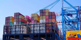 China: 1.200 toneladas de cerezas chilenas están a punto de llegar vía marítima