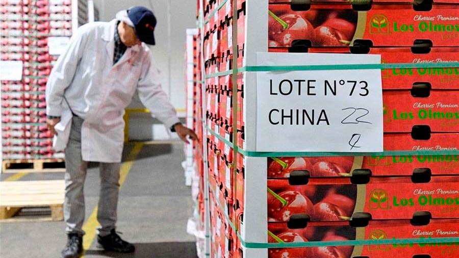 Industria de la cereza en alerta por polémica licitación de pasaportes con firma china