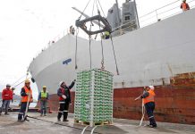 Exportación nacional de frutas a China crece y en Biobío hay altas expectativas