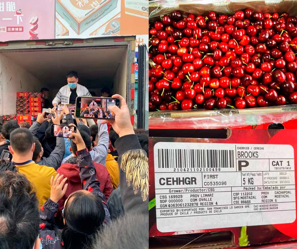 Llegan a China las primeras cerezas de la temporada 2021/ 2022
