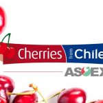 Comité de Cerezas de ASOEX anuncia los estándares de calidad para la fruta de exportación