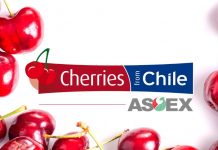 Comité de Cerezas de ASOEX anuncia los estándares de calidad para la fruta de exportación