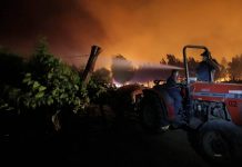 Viñateros y cereceros entre los principales afectados por mega incendio de Quillón